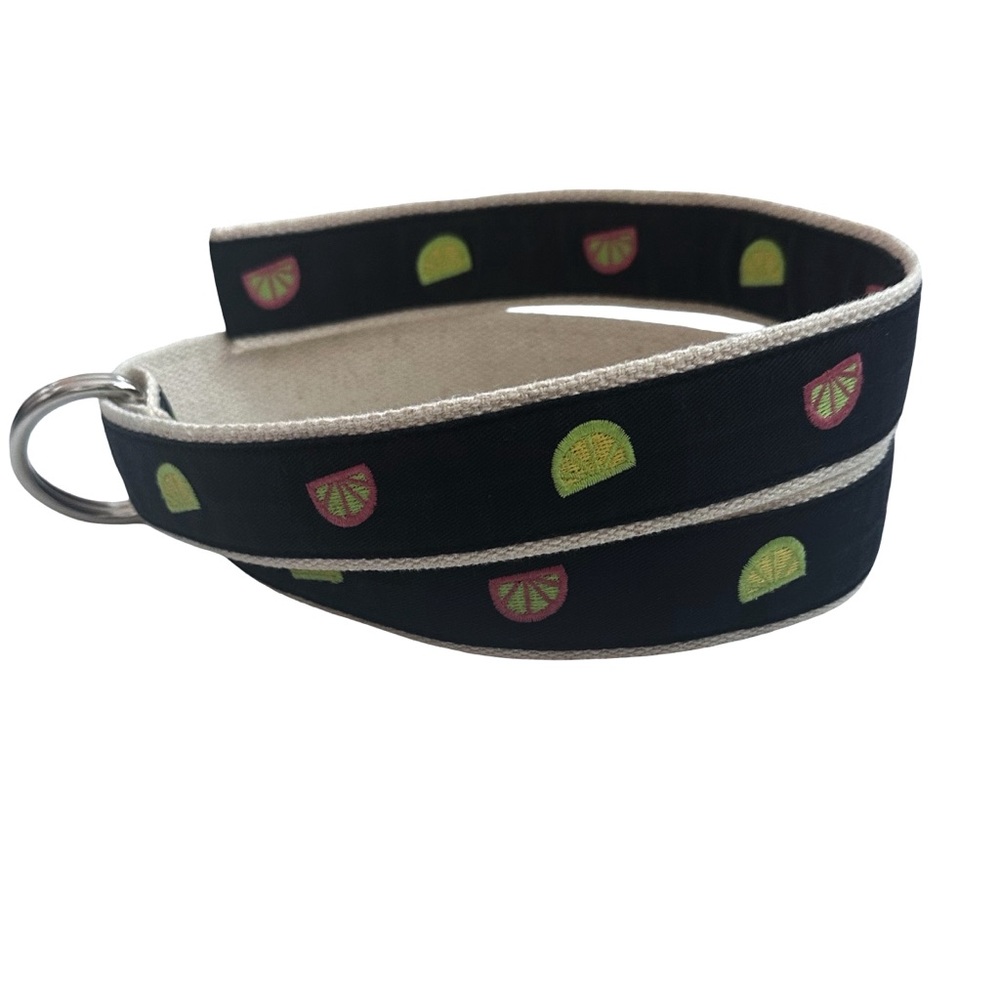 J. Crew 100% Cotton Canvas Double O-Ring Navy Belt with Citrus Fruit Print - Picture 1 of 6
